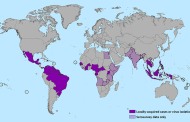 The genetic evolution of Zika virus