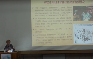 Н. Виноград доповідає про лихоманку Західного Нілу (відео)