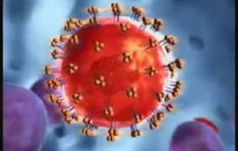 Retroviruses ‘almost half a billion years old’