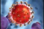 Retroviruses ‘almost half a billion years old’