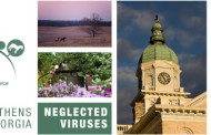 3rd International Symposium on Neglected Influenza Viruses 15 – 17 April 2015 – for more information