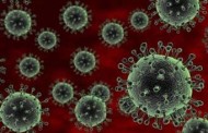 “Вірусні інфекції людини та тварин” – навчальний посібник