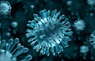 New human virus discovered in old blood samples