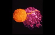 Генетично модифікований вірус схвалено для лікування раку