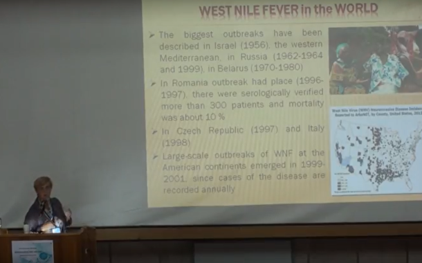 Н. Виноград доповідає про лихоманку Західного Нілу (відео)