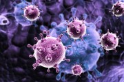 Researchers unravel viruses’ strategies to dodge immune systems