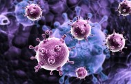 Researchers unravel viruses’ strategies to dodge immune systems