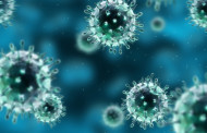 Імунітет до різних штамів вірусу грипу залежить від року народження